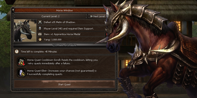 Horse Training Preview